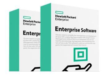 Hewlett Packard Enterprise StoreOnce VSA Server 100TB E-LTU