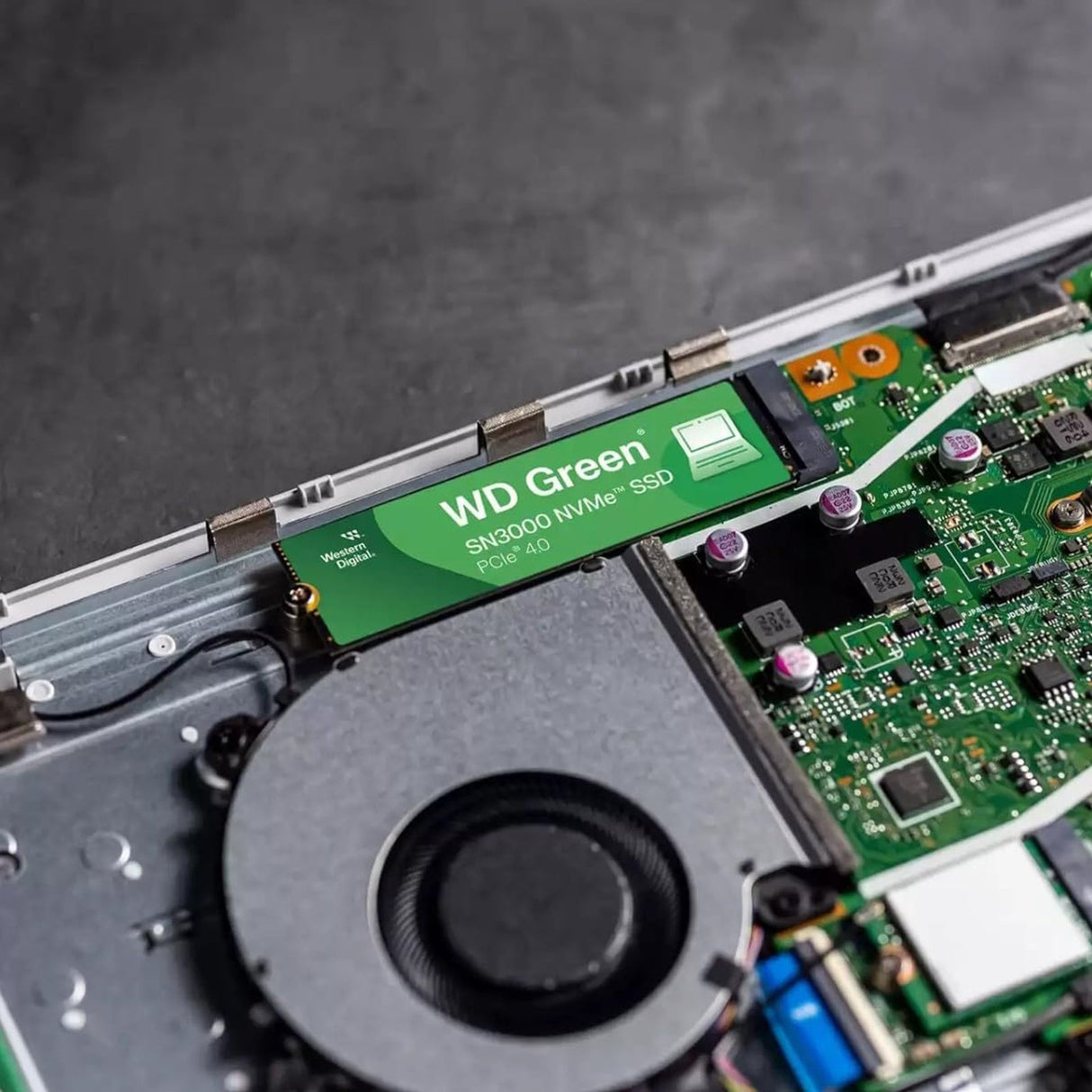 WD Green SN3000(WDS100T4G0E-00CPSO) 1TB NVMe SSD, M.2 Interface, PCIe Gen4, 2280, Read 5000MB/s, Write 4200MB/s, 3 Year Limited Warranty
